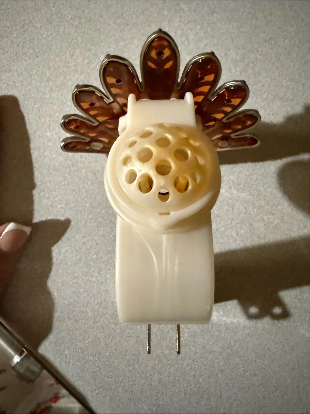 Bath & Body Works Metallic Bronze and Black Turkey Nightlight